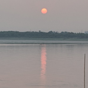 IMG_20190717_053241.jpg